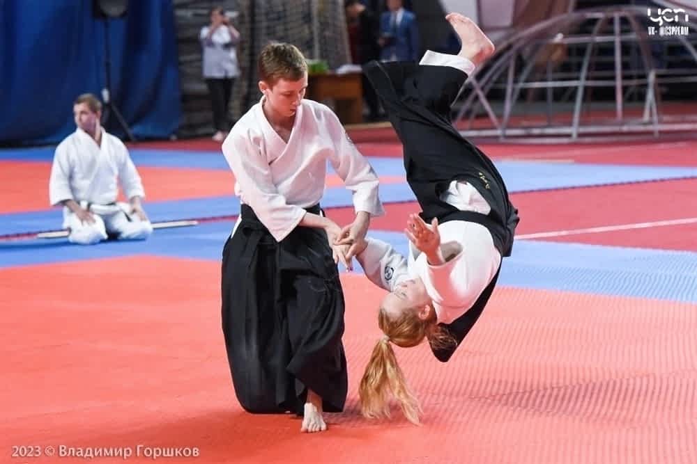 Мастер-класс "Айкидо" Мастер-класс "Айкидо"